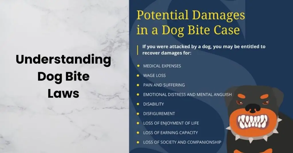 Best Dog Bite Lawyers